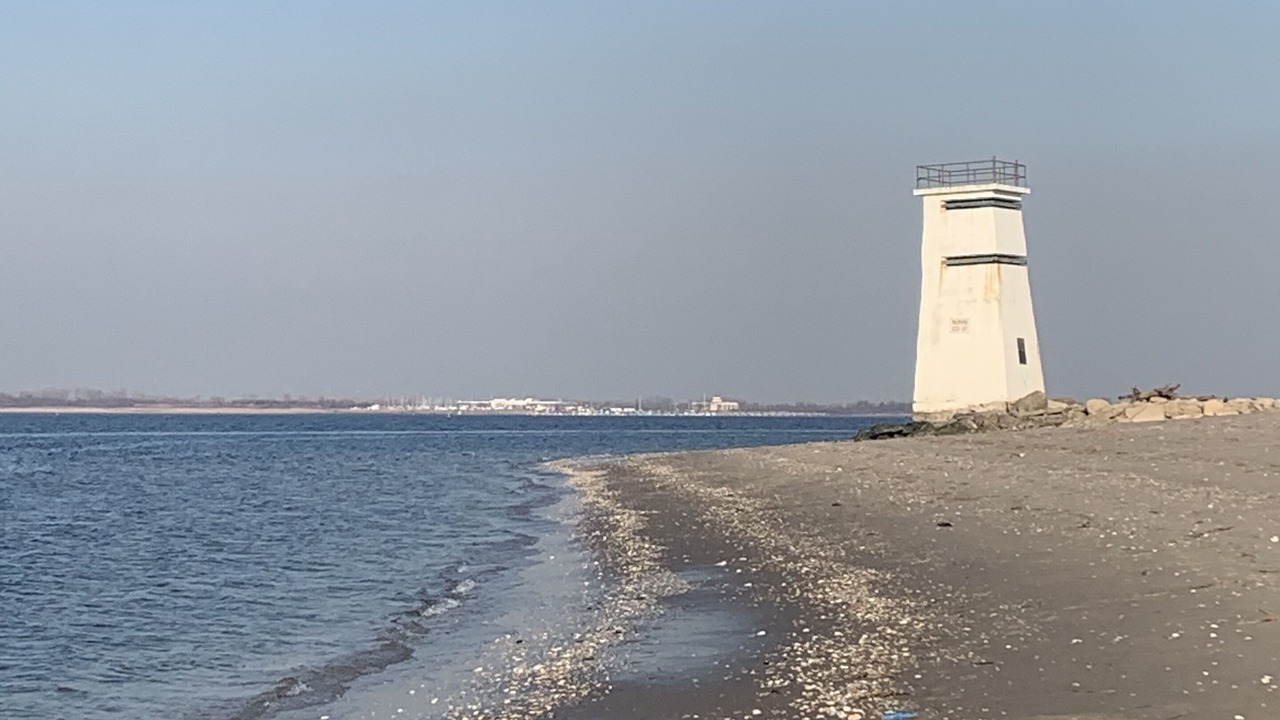 Photo of Others in Fort Tilden