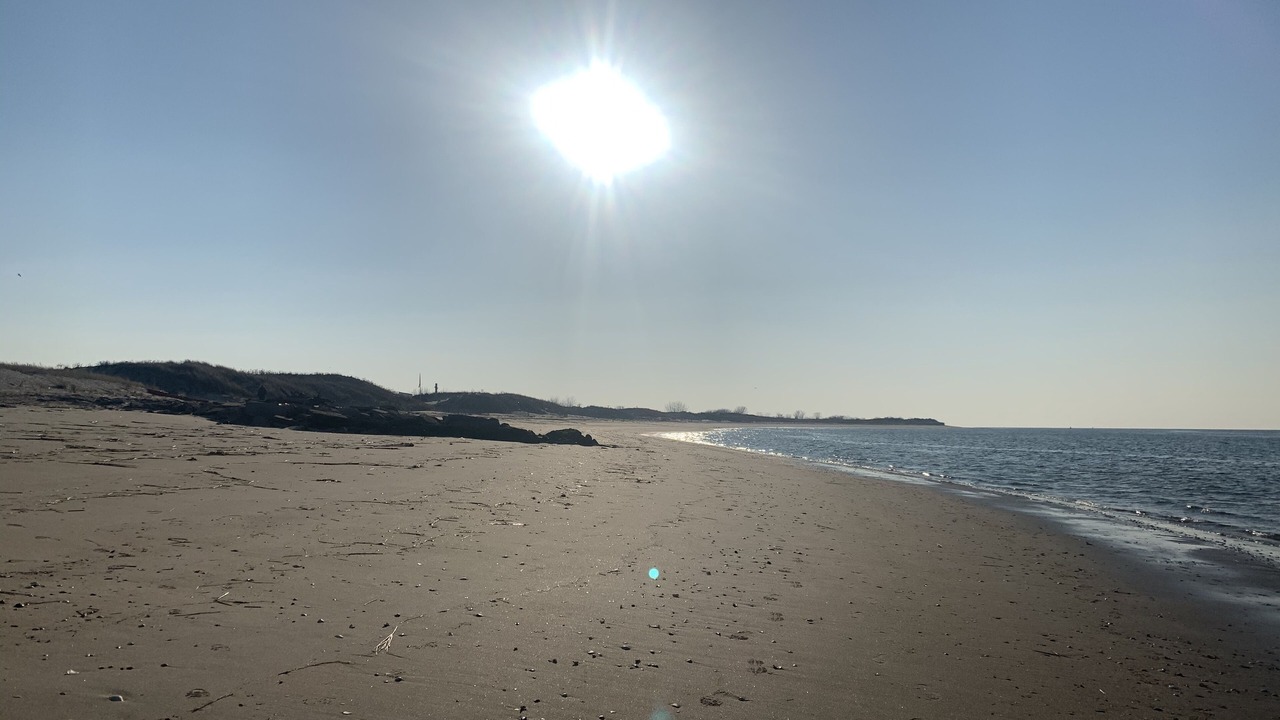 Photo of Others in Fort Tilden