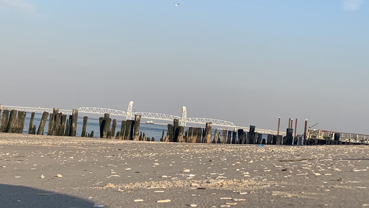Photo of Others in Fort Tilden