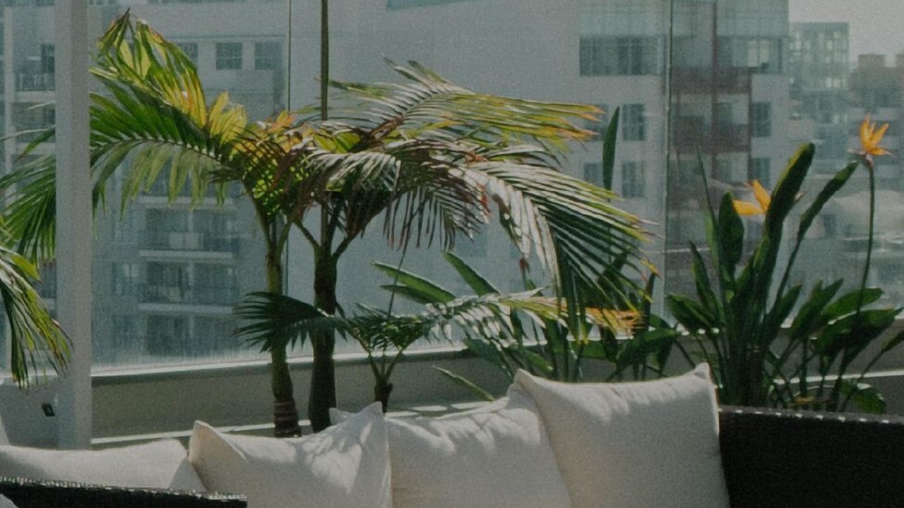 Photo of Outdoor in Gramercy