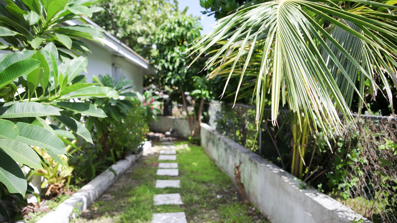 Photo of Others in Nassau