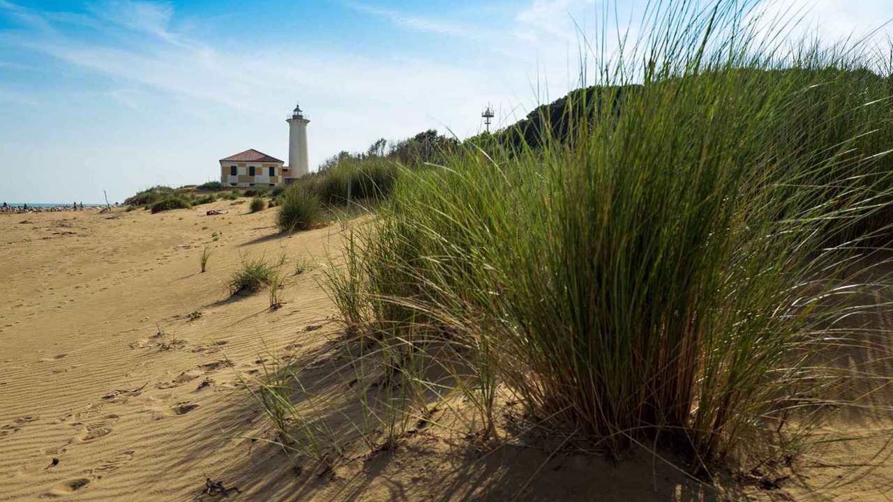 Photo of Others in Bibione Lido dei Pini