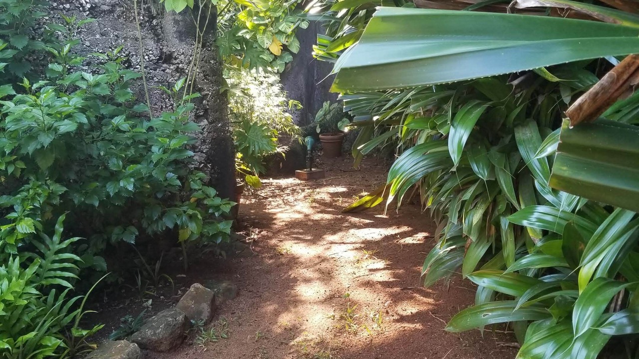 Photo of Outdoor in West End
