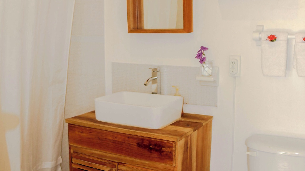 Photo of Bathroom in Treasure Beach
