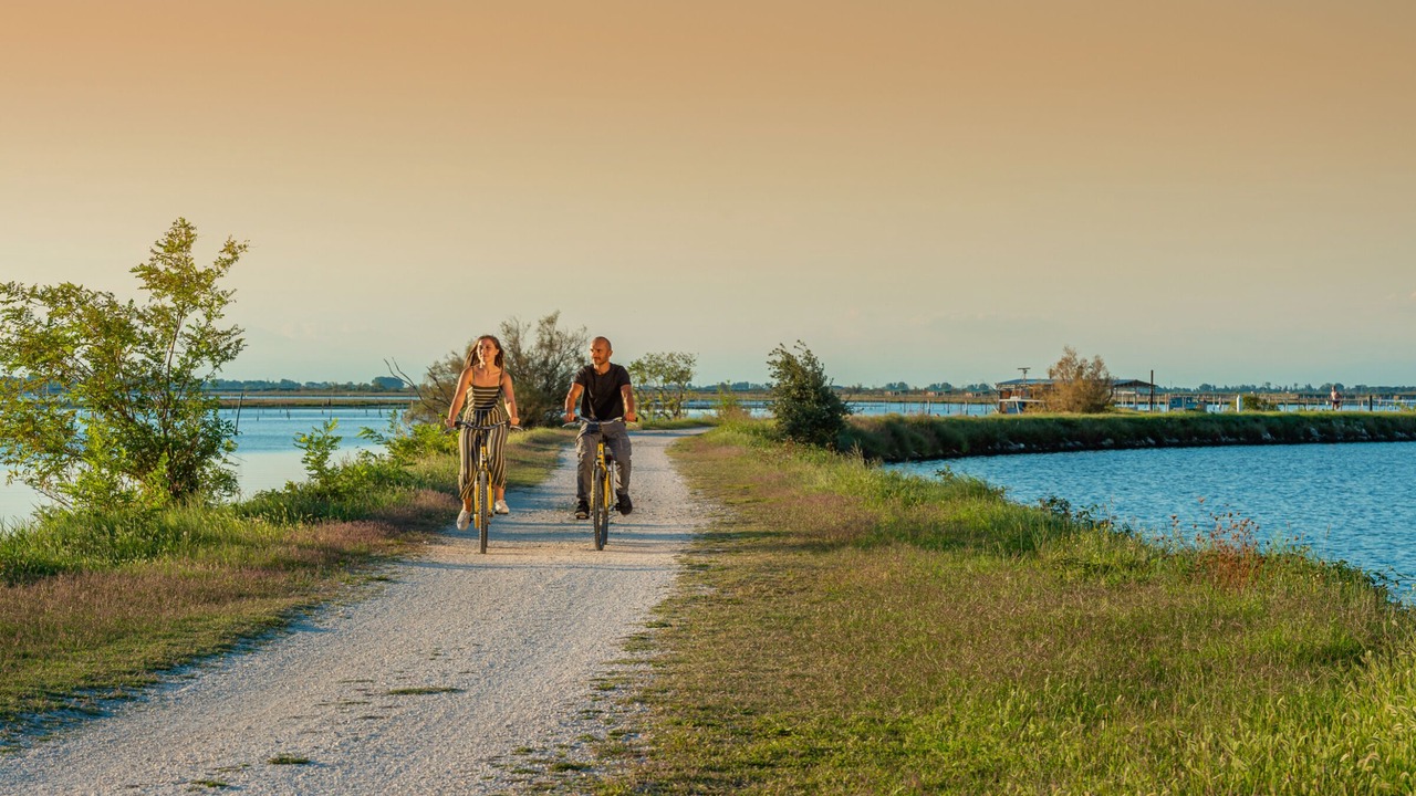 Photo of Others in Isola Albarella