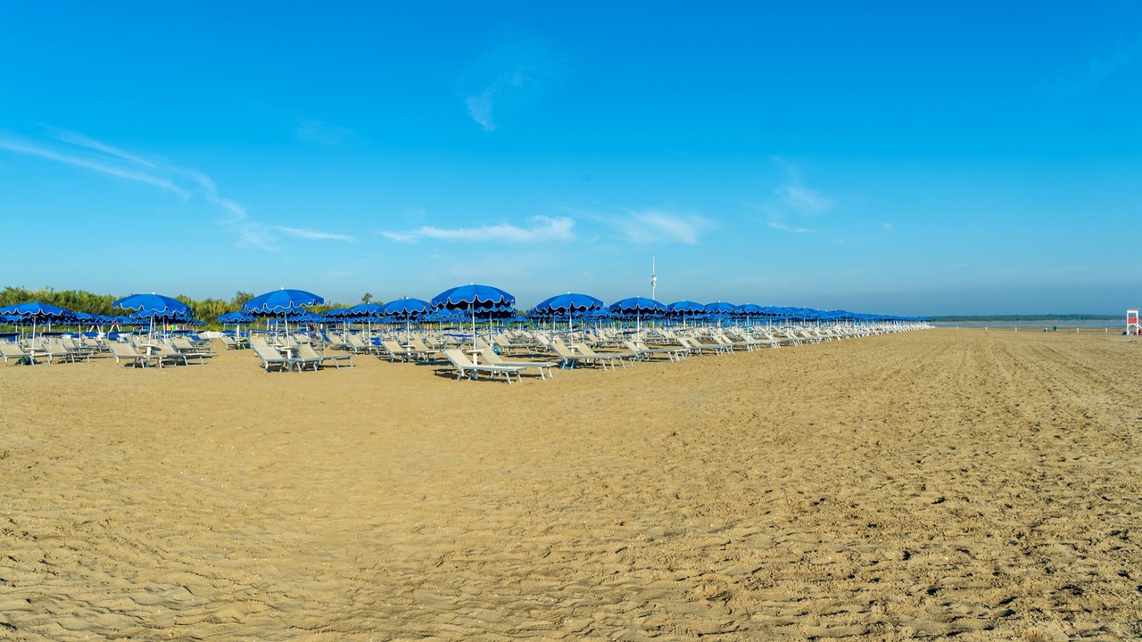 Photo of Others in Isola Albarella