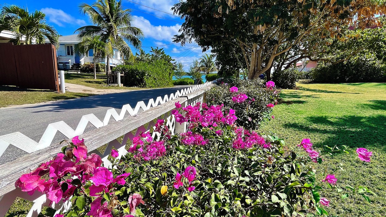 Photo of Others in Alice Town