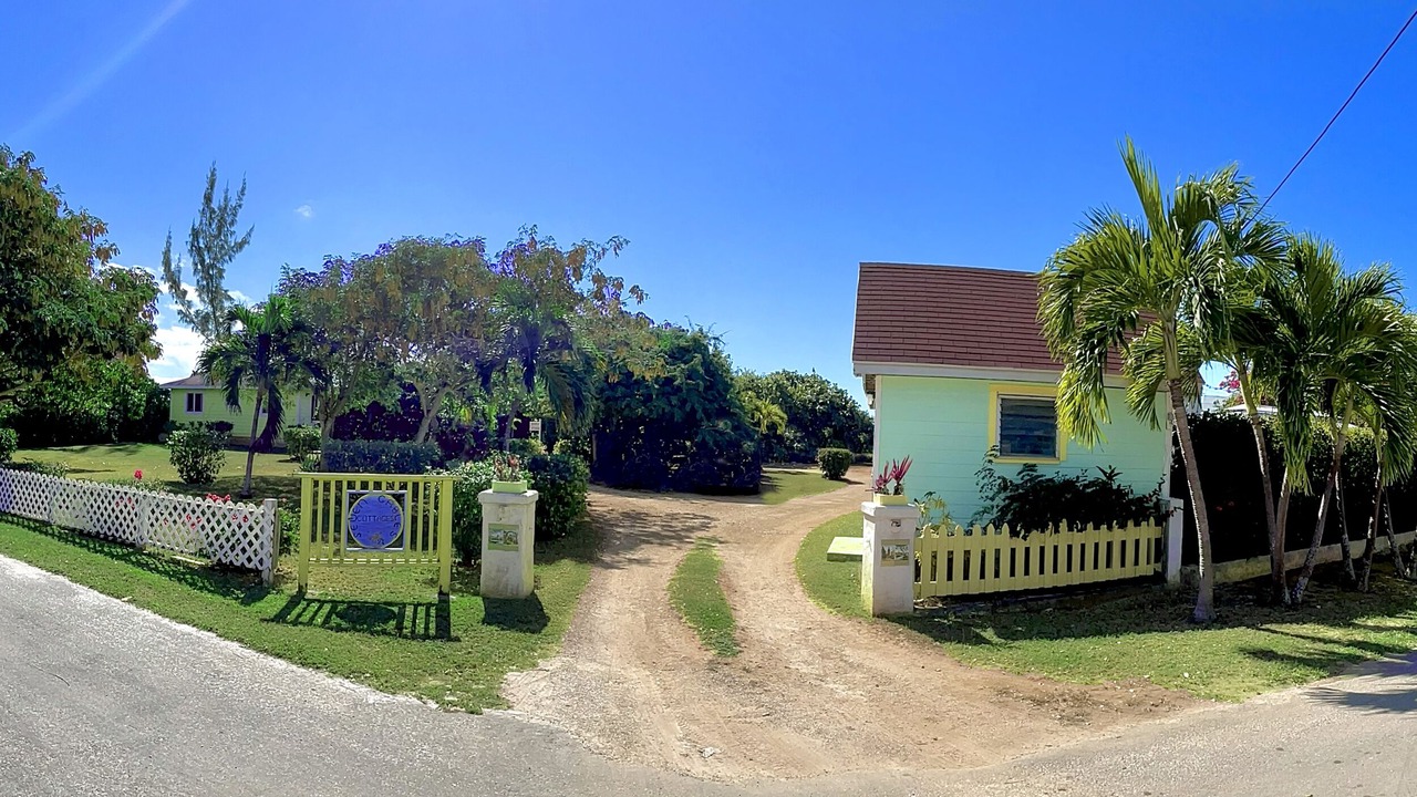 Photo of Others in Alice Town