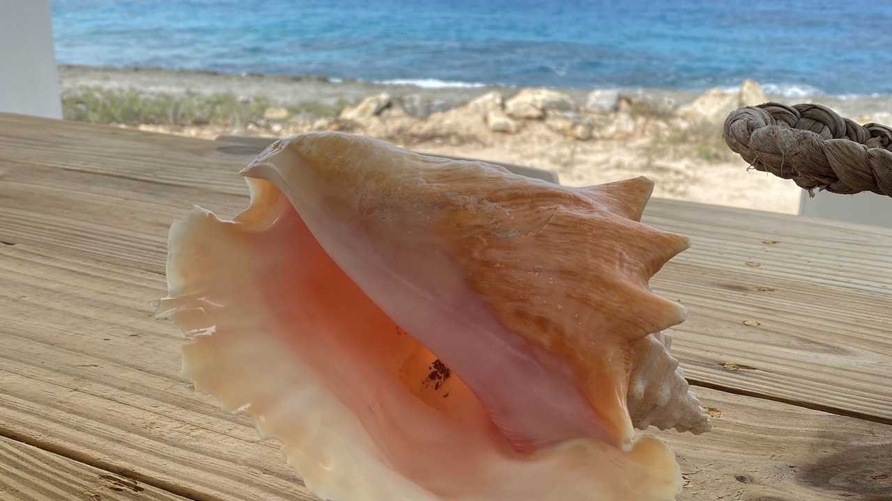 Photo of Others in North Eleuthera