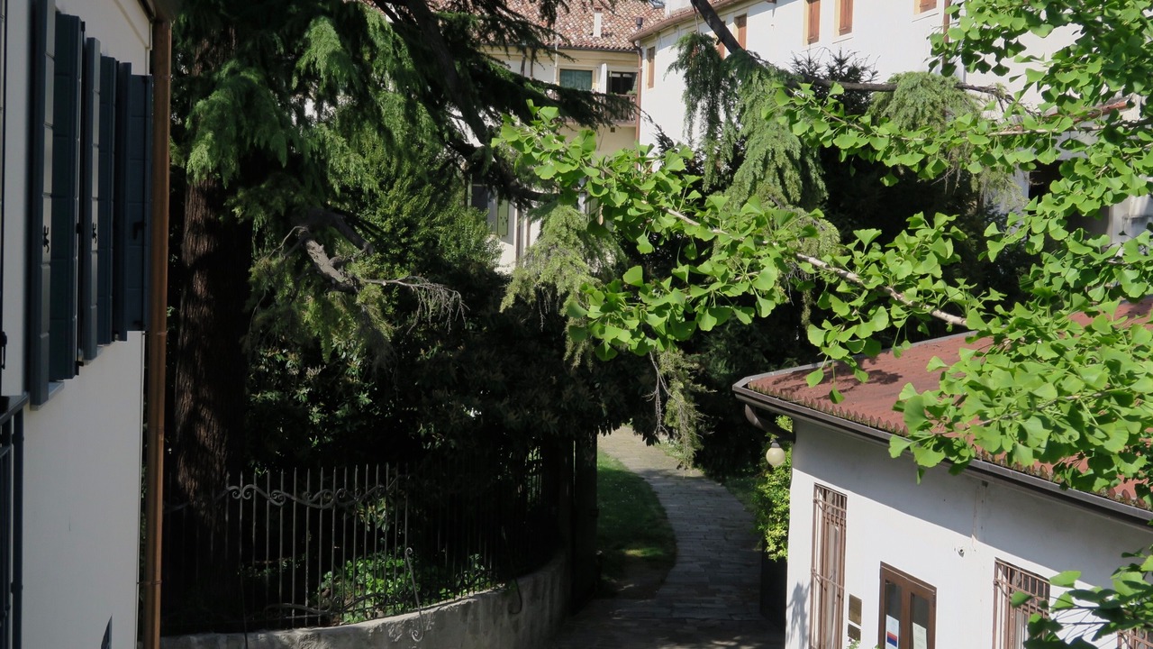 Photo of Outdoor in Historic Centre