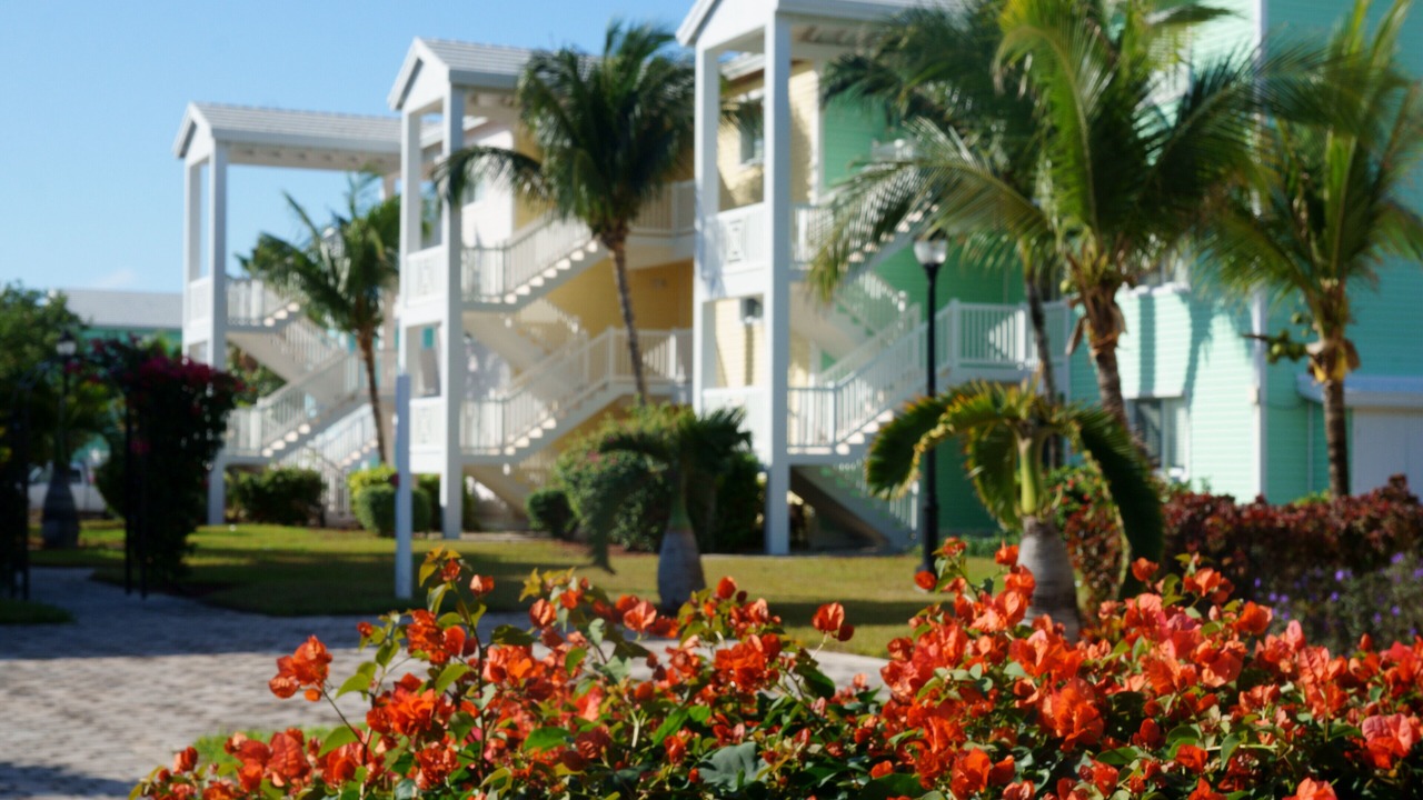 Photo of Outdoor in Alice Town