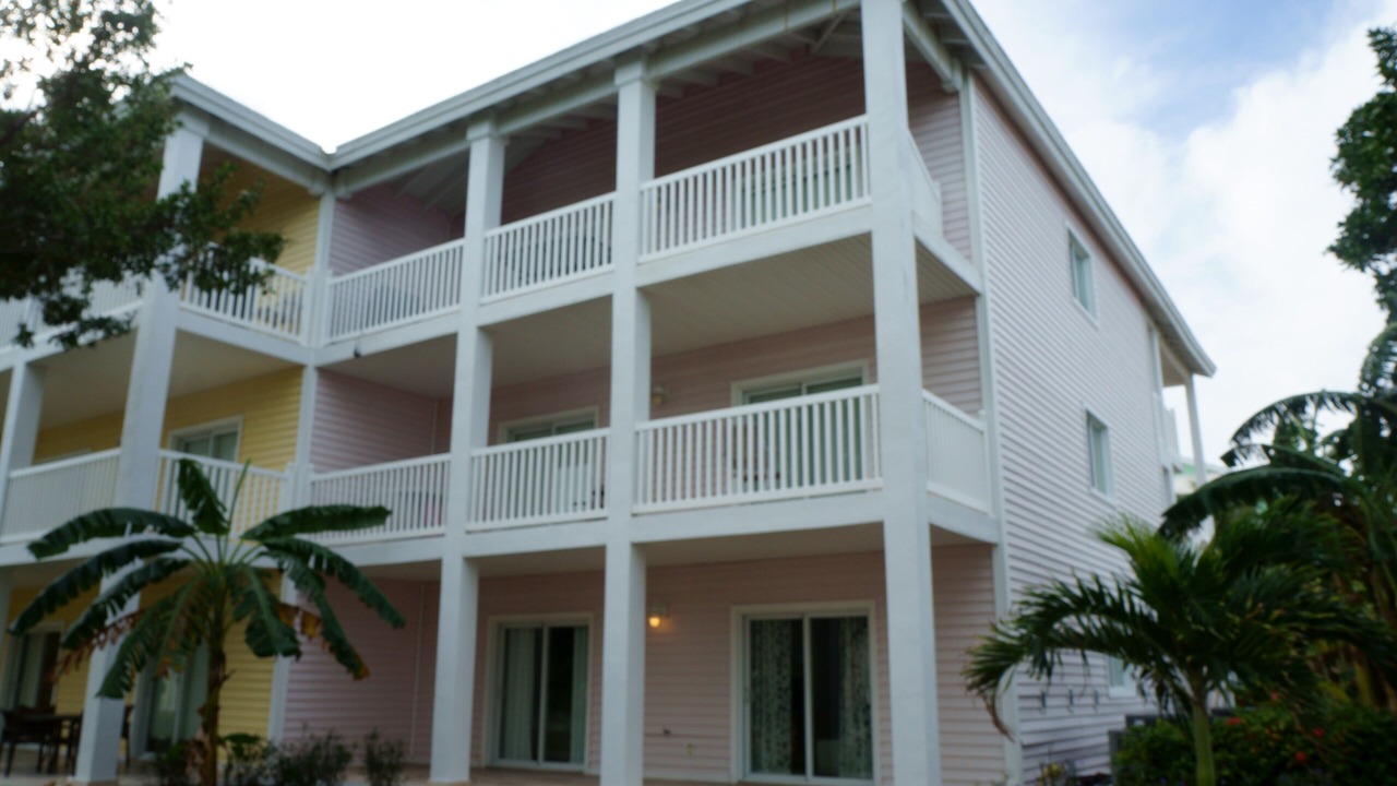 Photo of Outdoor in Alice Town