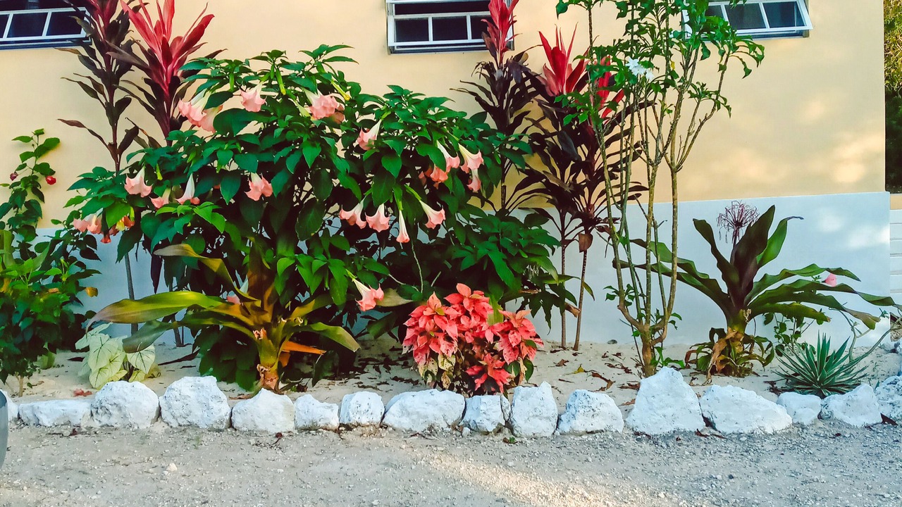 Photo of Outdoor in Great Exuma
