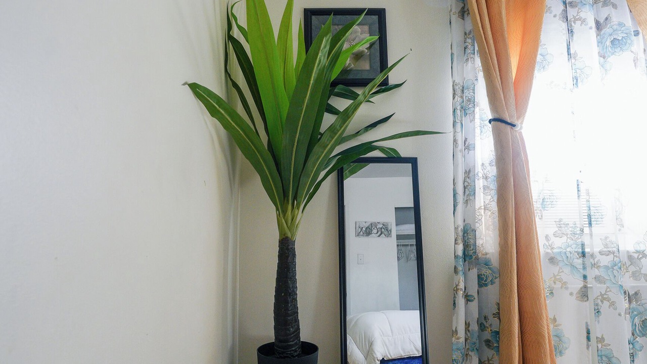 Photo of Bedroom in Canarsie
