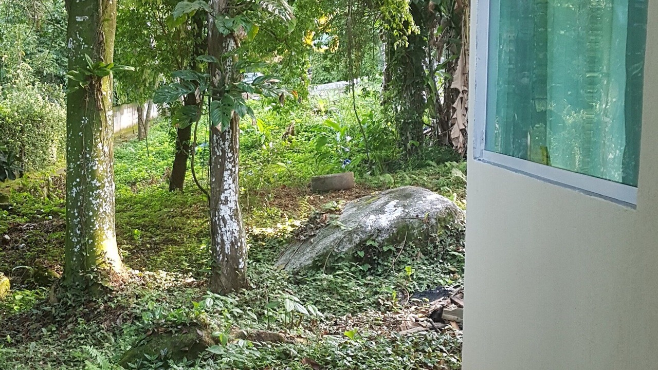 Photo of Outdoor in Mangaratiba