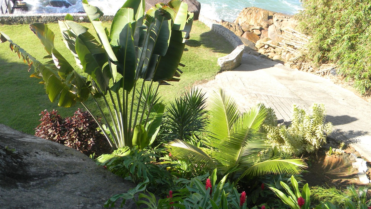 Photo of Outdoor in Mangaratiba