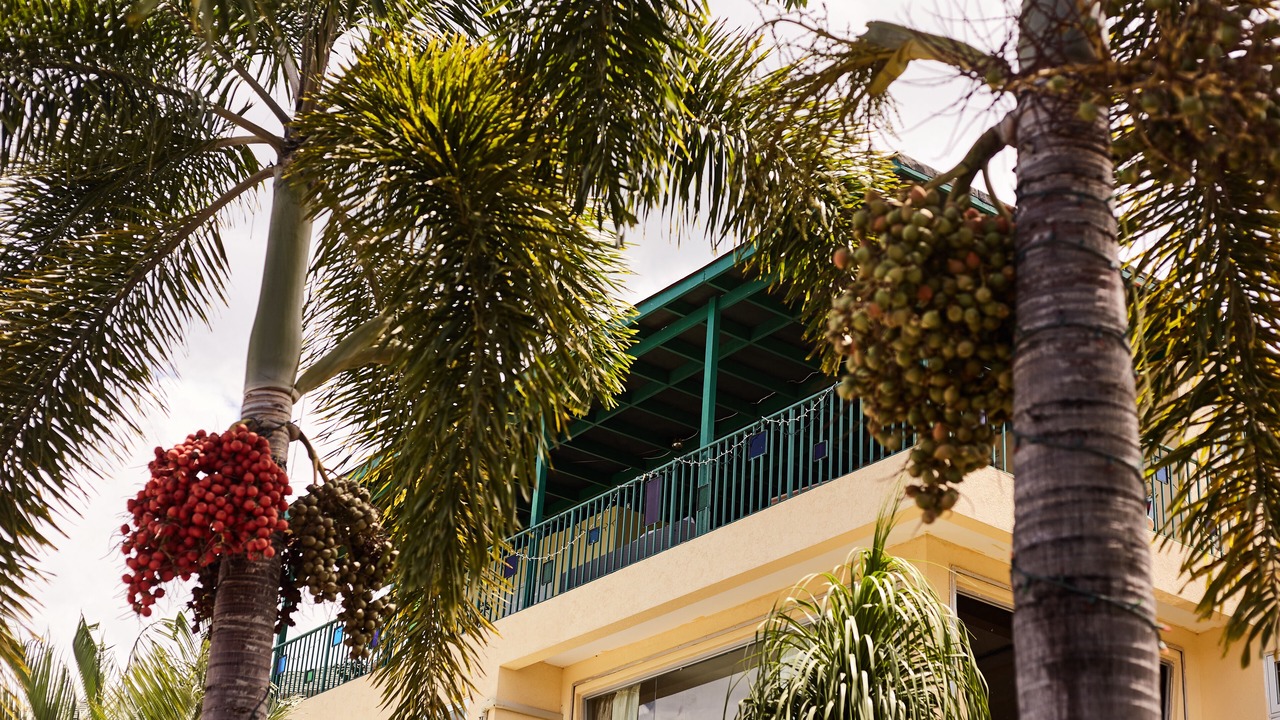 Photo of Outdoor in Jack's Hill