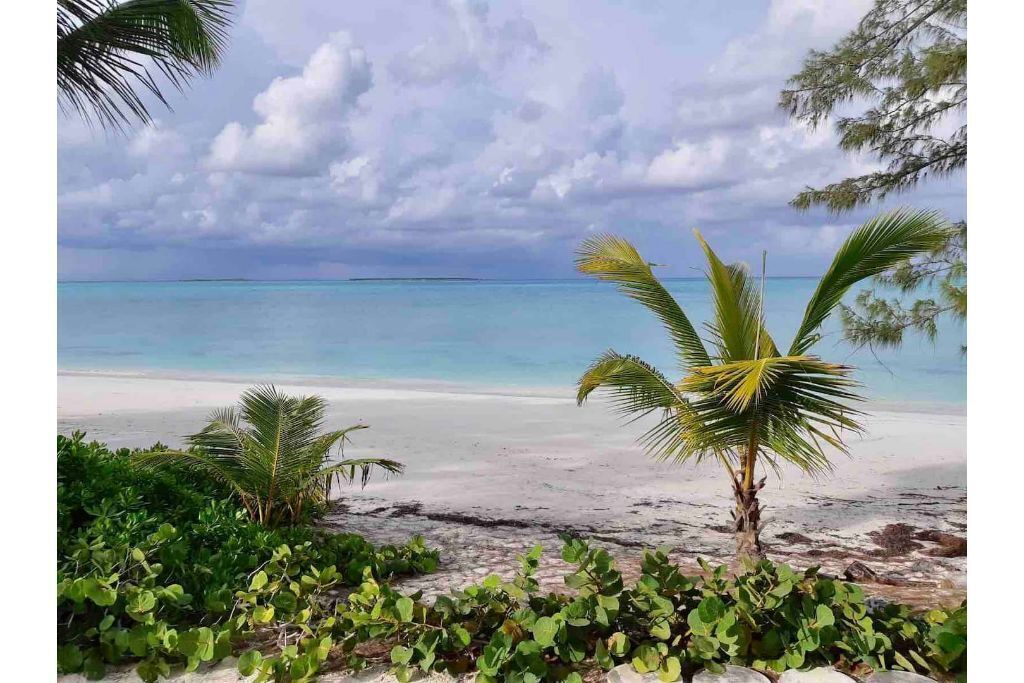 Photo of Outdoor in Jimmy Hill