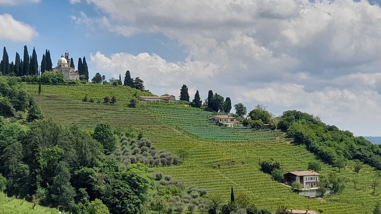 Photo of Outdoor in Valdobbiadene