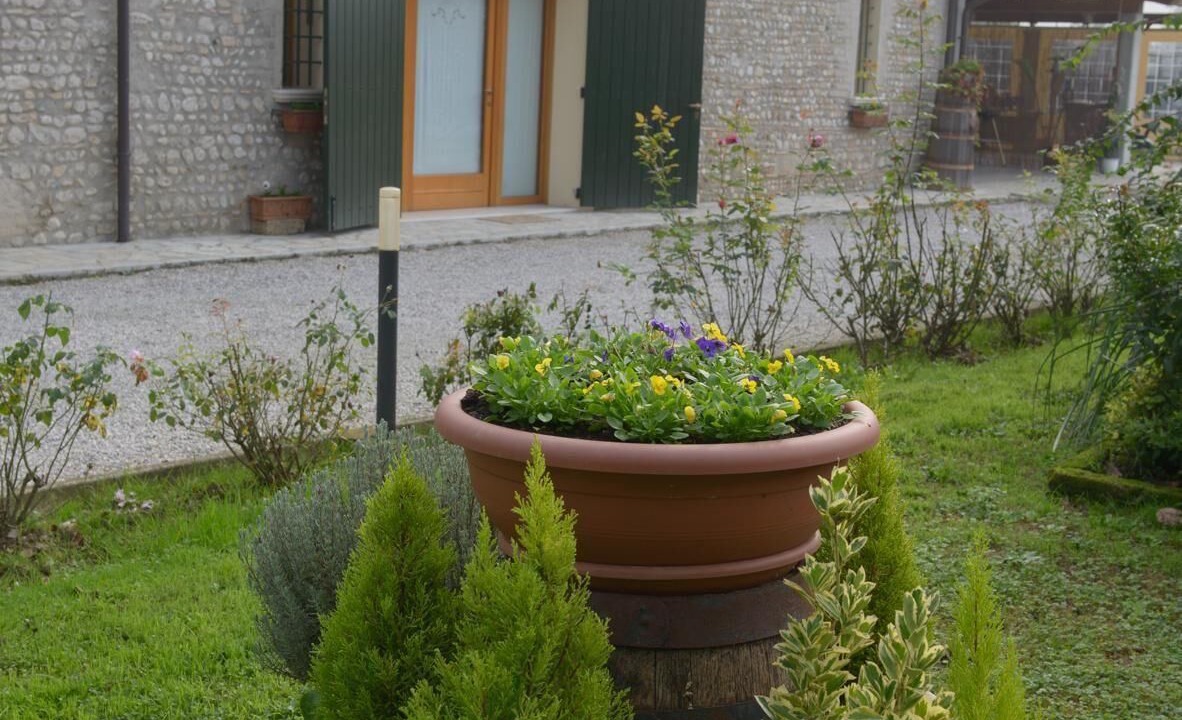 Photo of Outdoor in Codogne