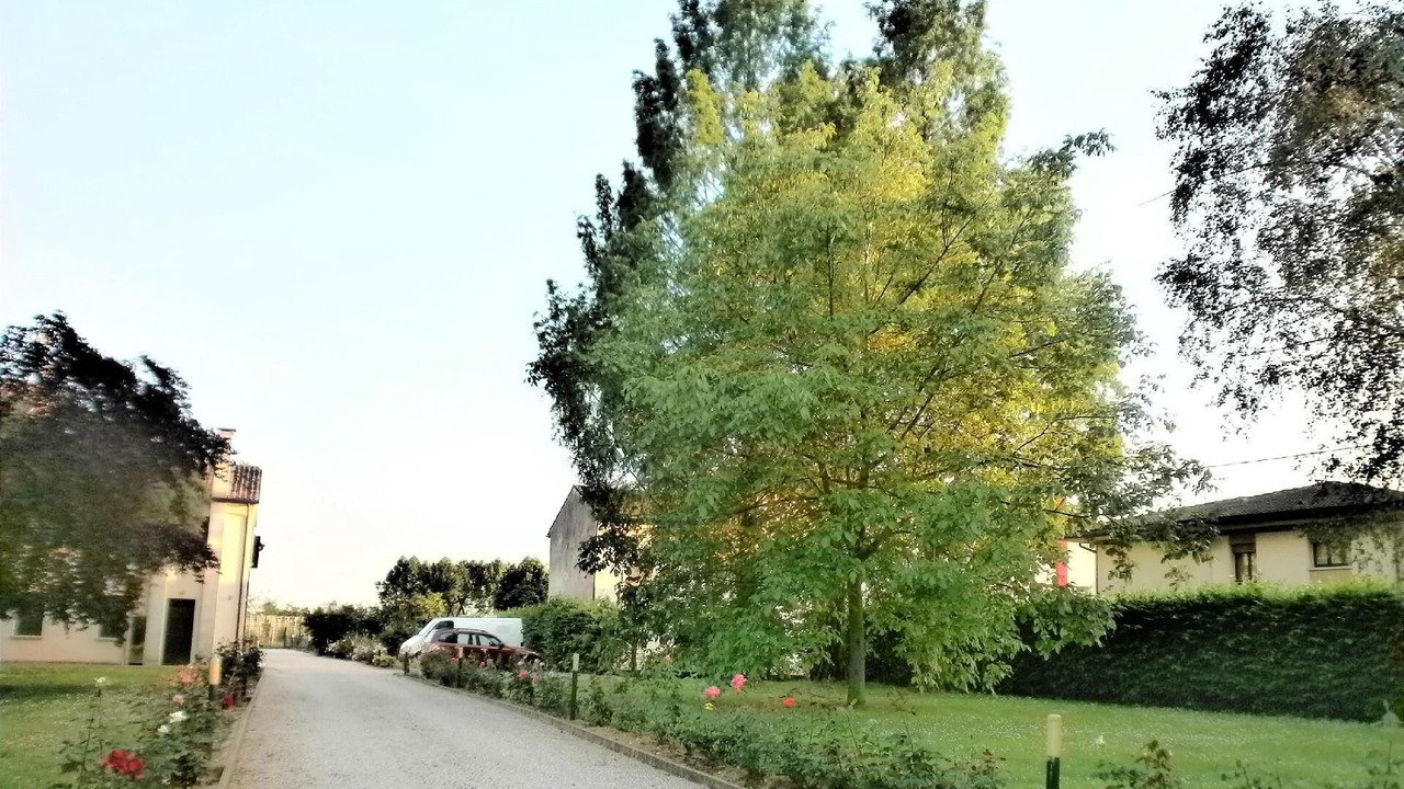 Photo of Outdoor in Codogne