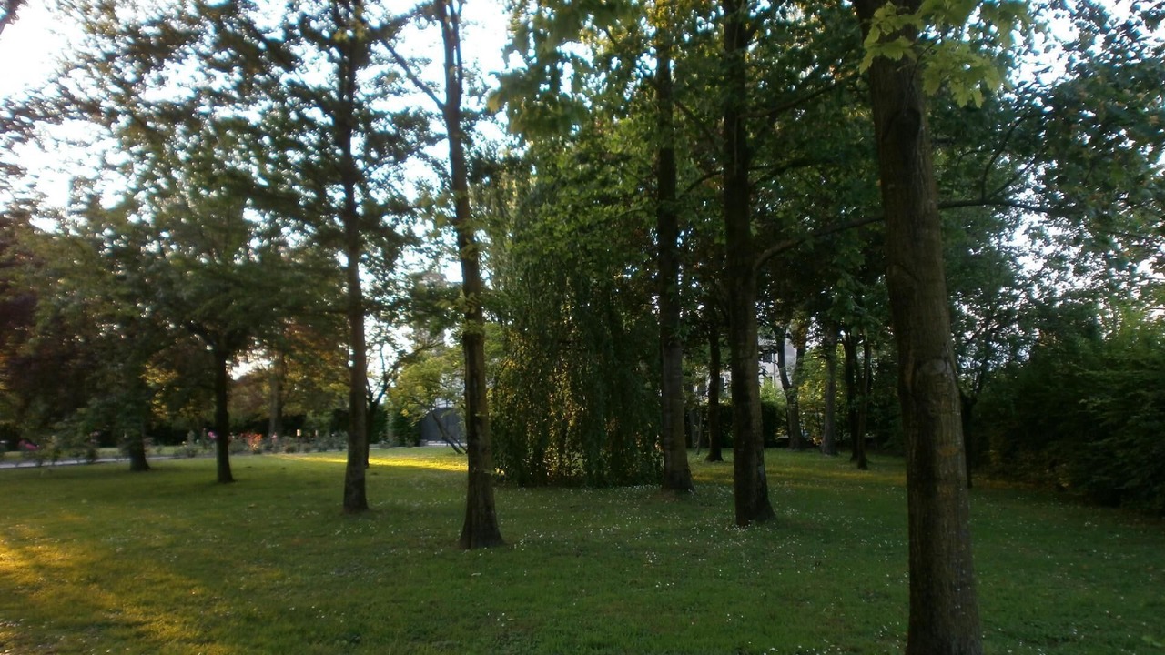 Photo of Outdoor in Codogne