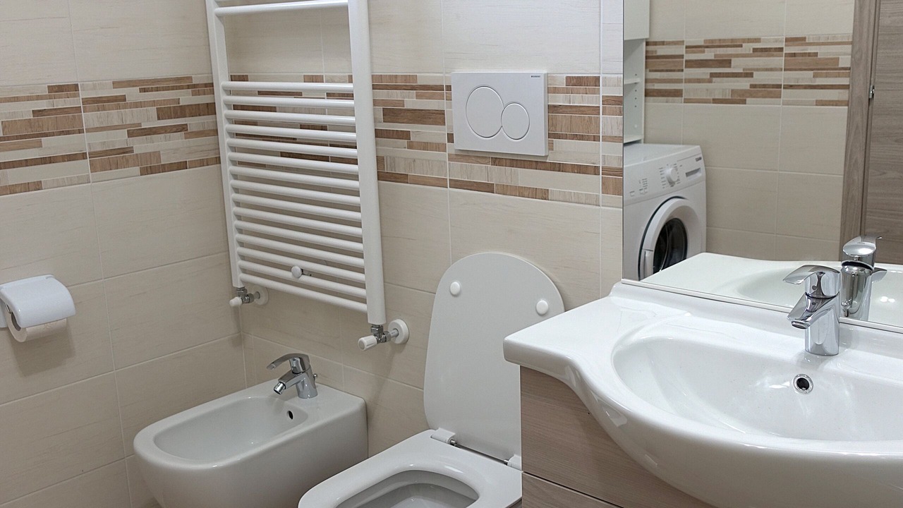 Photo of Bathroom in Albisano