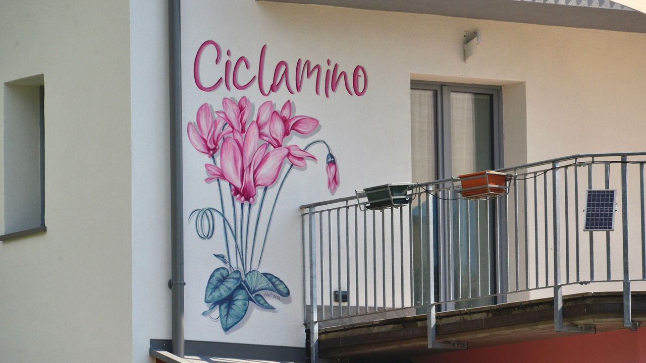 Photo of Outdoor in San Lorenzo in Banale