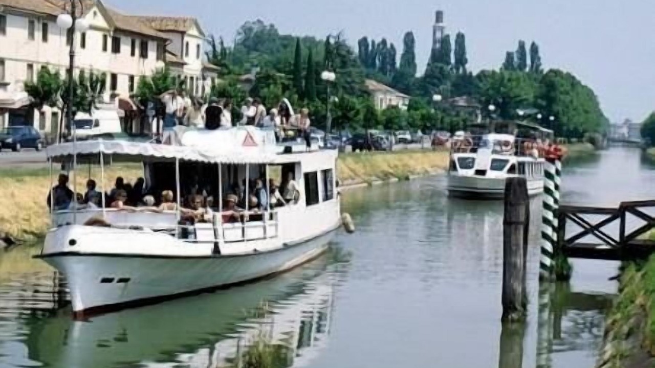 Photo of Others in Mira