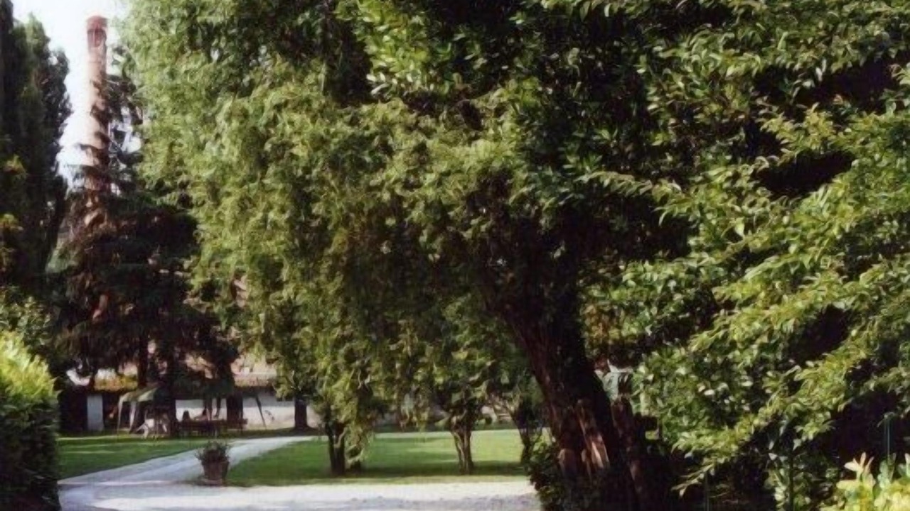 Photo of Outdoor in Mira