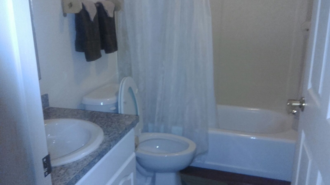 Photo of Bathroom in South Palmetto Point