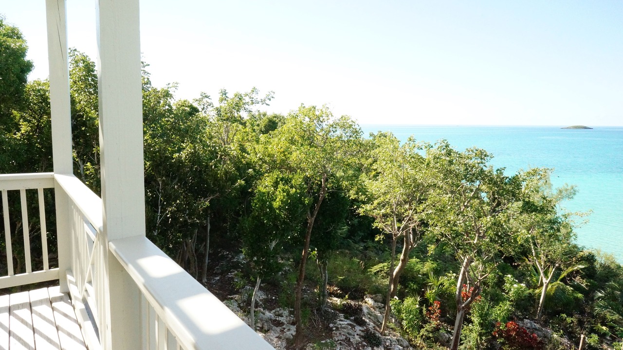 Photo of Outdoor in South Palmetto Point