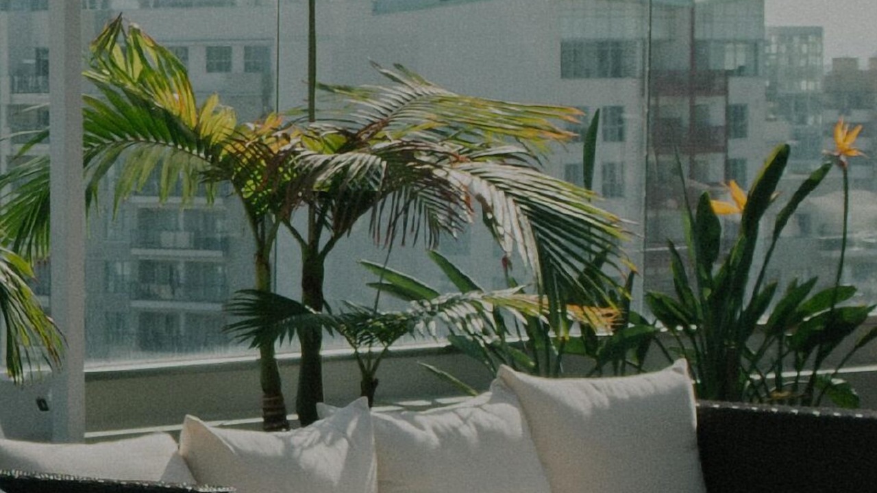 Photo of Outdoor in Upper East Side