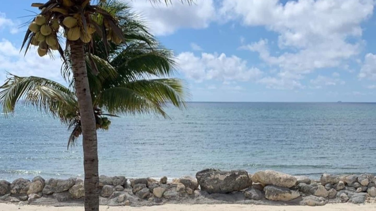 Photo of Others in Bahamas Terrace