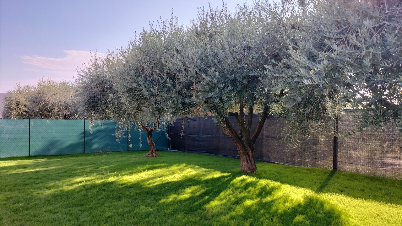Photo of Outdoor in Montioni