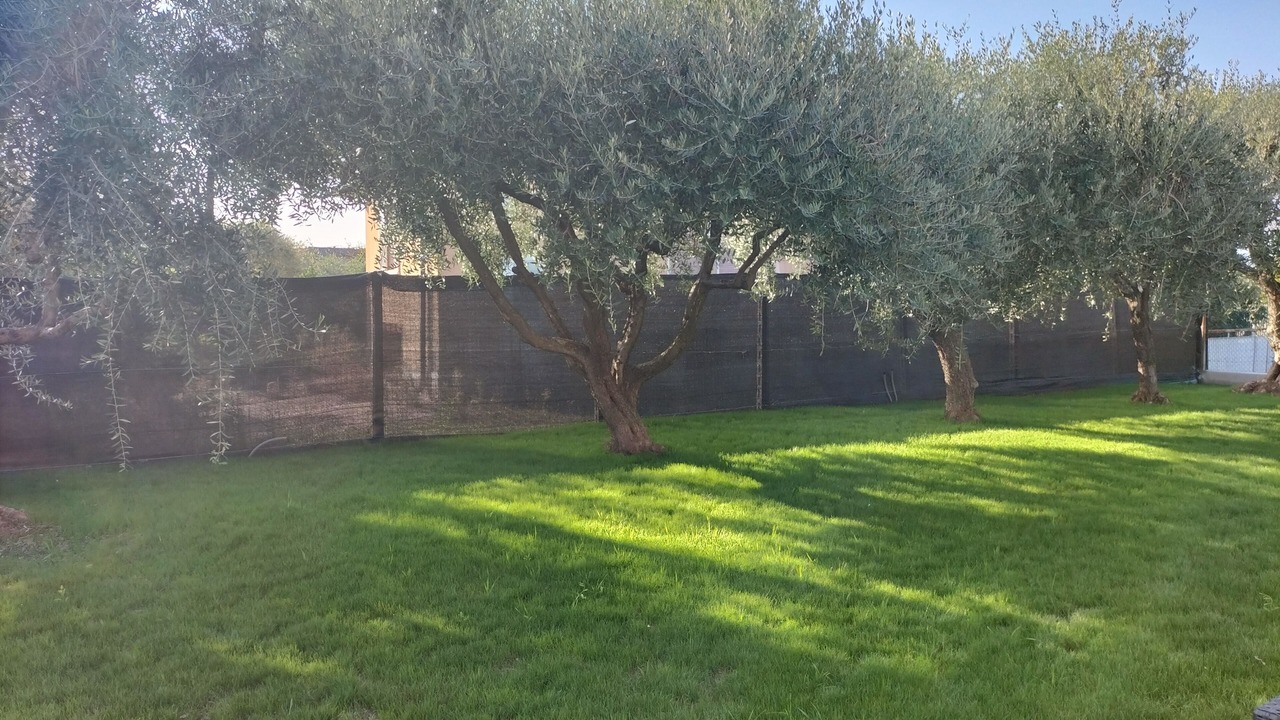 Photo of Outdoor in Montioni