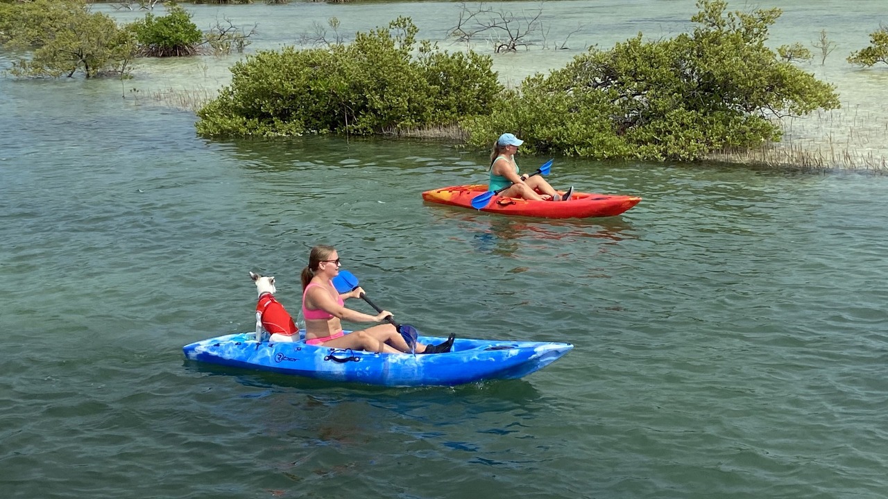 Photo of Others in Discovery Bay