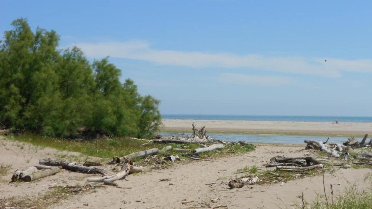 Photo of Others in Rosolina Mare
