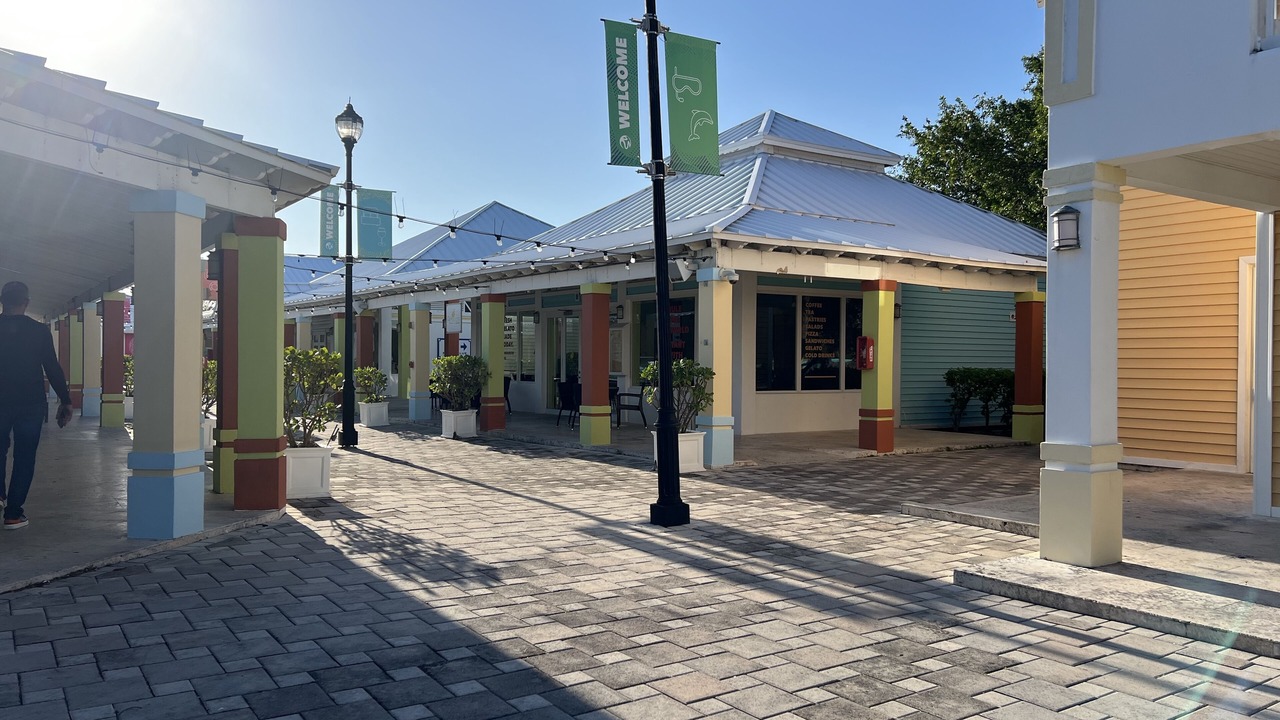 Photo of Others in Alice Town