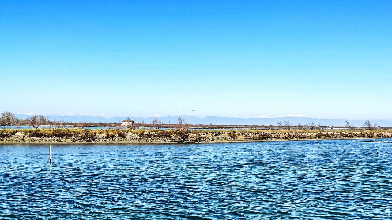 Photo of Others in Cavallino-Treporti
