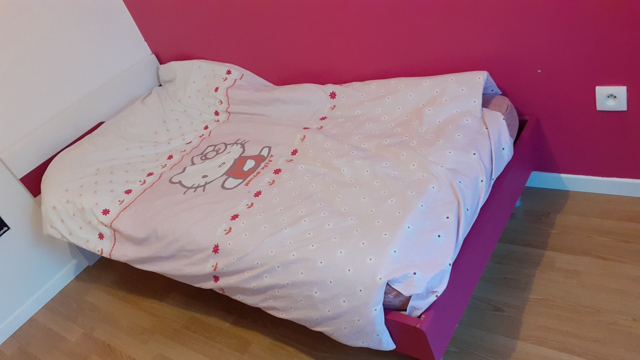 Photo of Bedroom in Aubervilliers