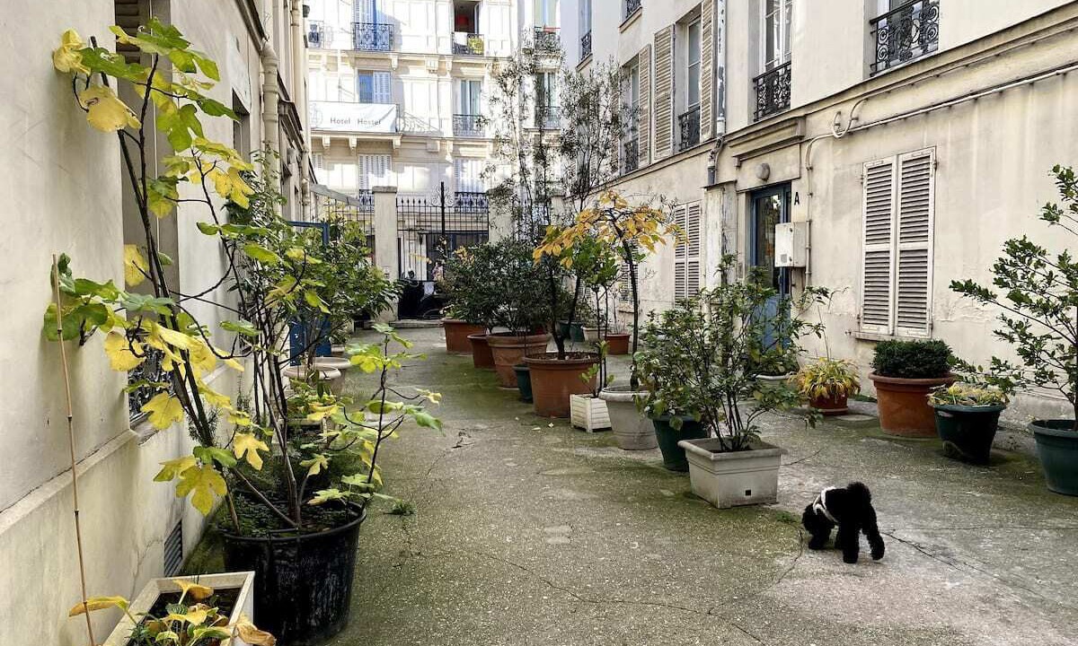 Photo of Outdoor in Quartier de Rochechouart