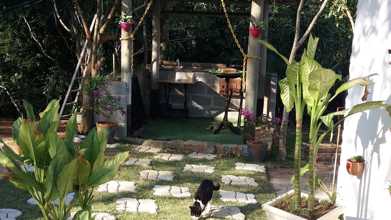 Photo of Outdoor in Coroa Grande