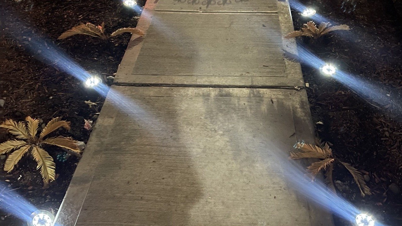 Photo of Outdoor in Flatbush