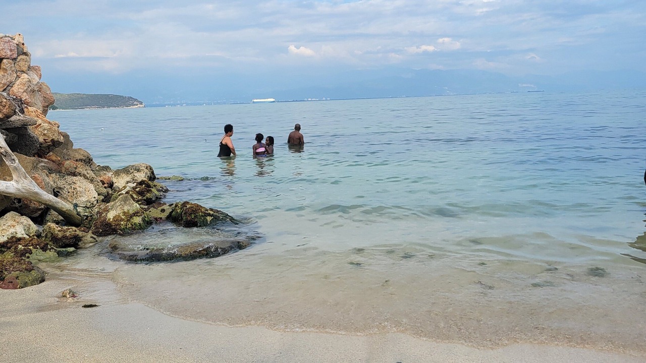 Photo of Others in Portmore