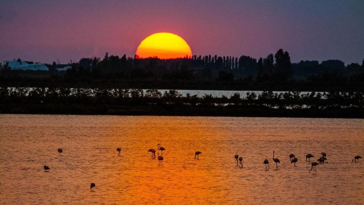 Photo of Others in Rosolina Mare