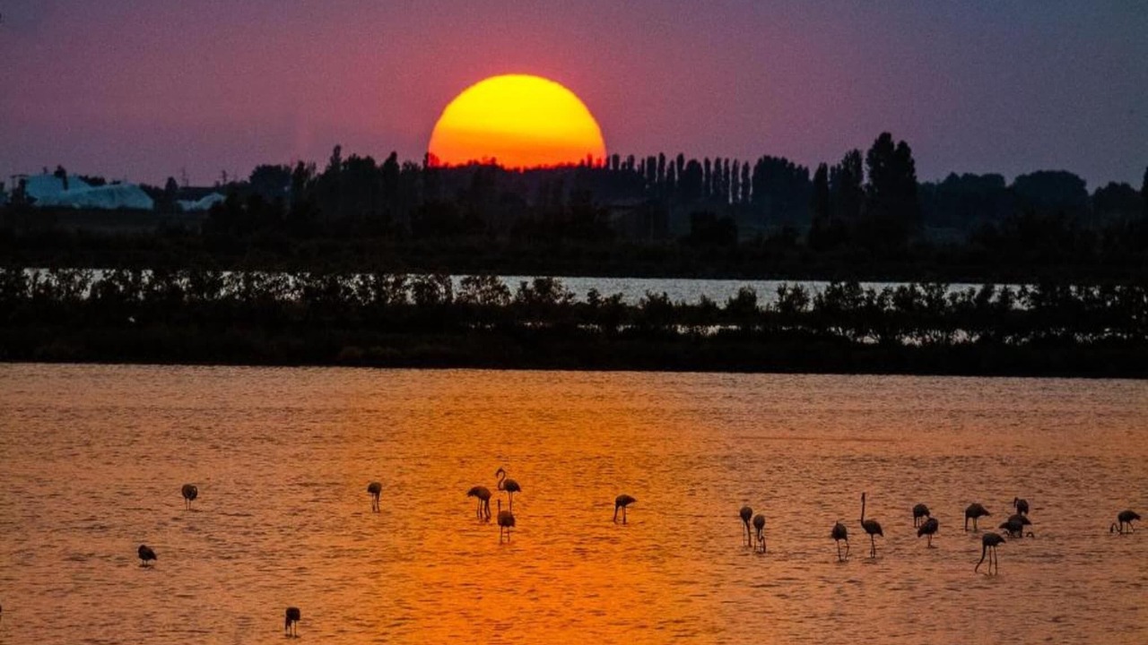 Photo of Others in Rosolina Mare