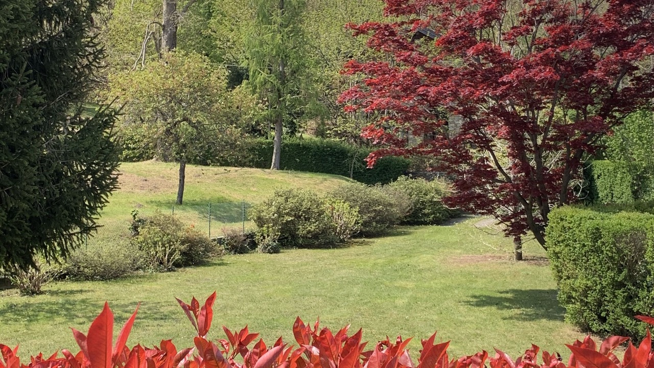 Photo of Outdoor in Lesa