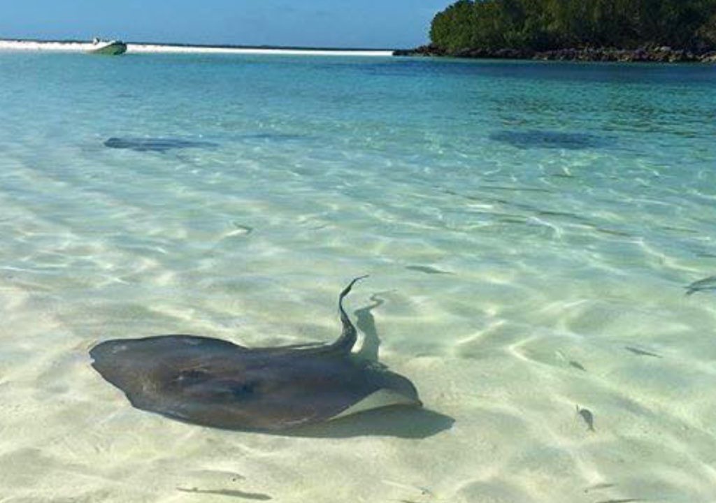 Photo of Others in Green Turtle Cay