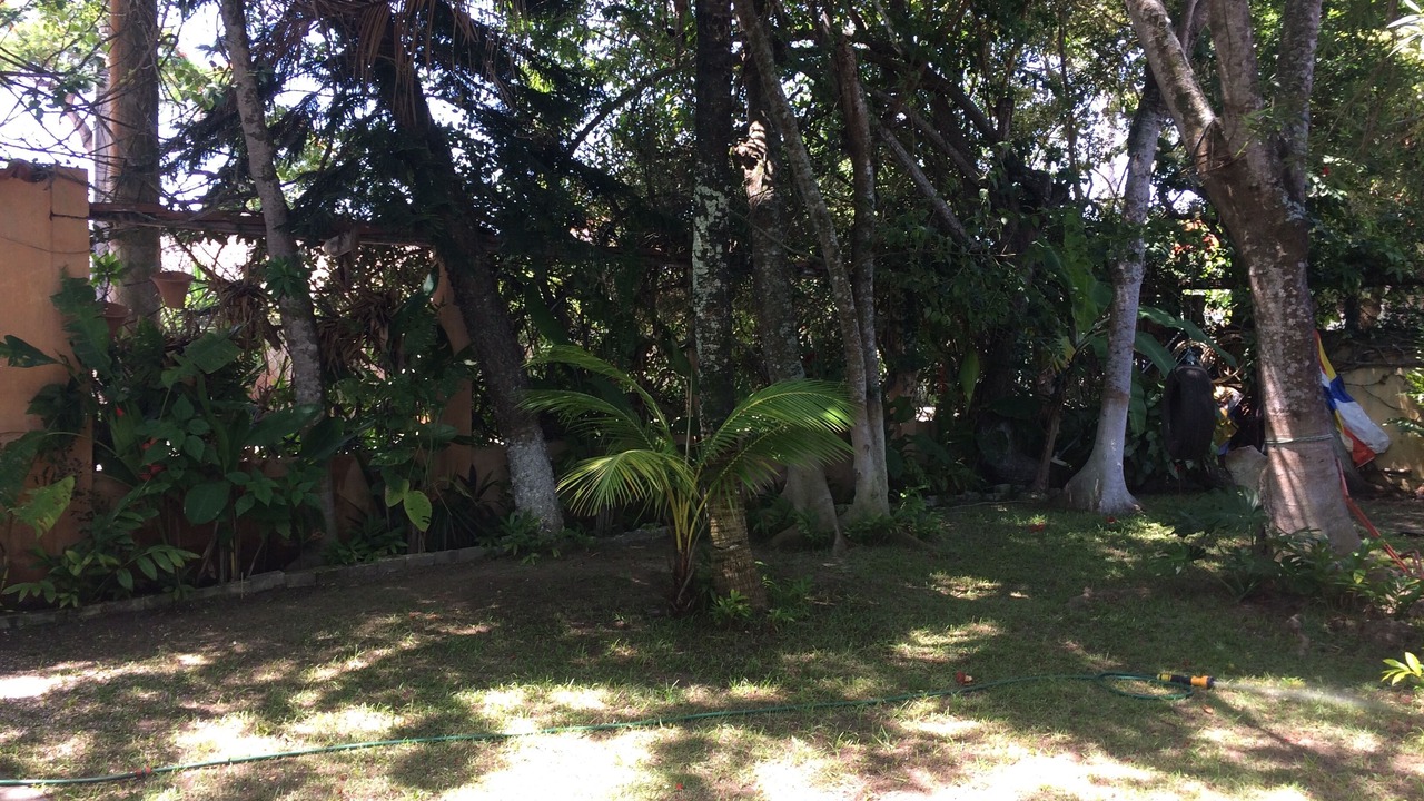 Photo of Outdoor in Bosque de Geriba